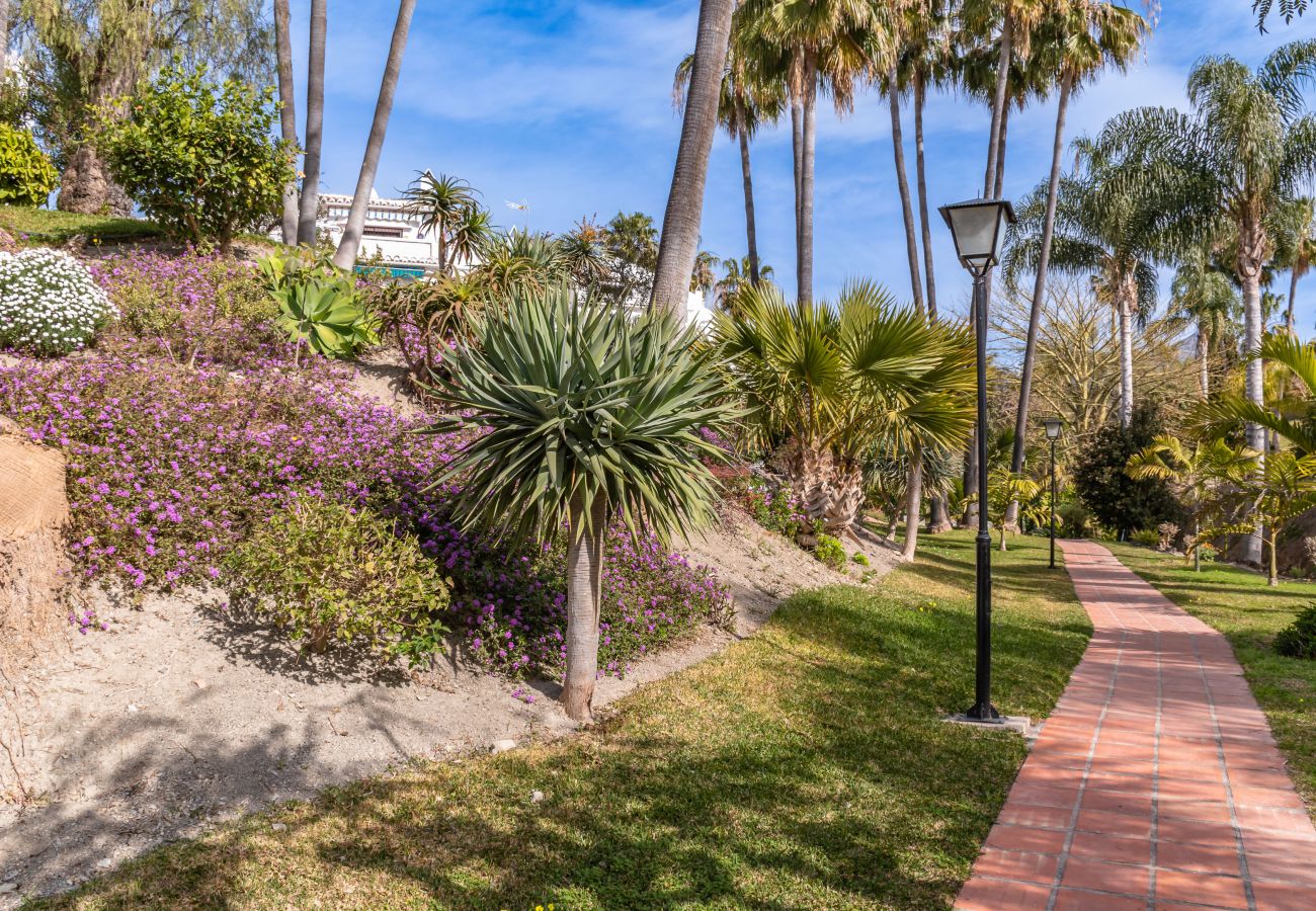 Apartamento en Nerja - Tetuan 17 - Oasis Properties