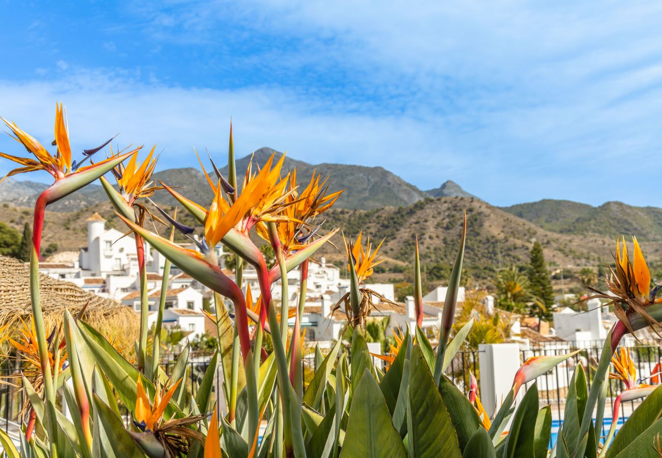 Apartamento en Nerja - Tetuan 11 - Oasis Properties