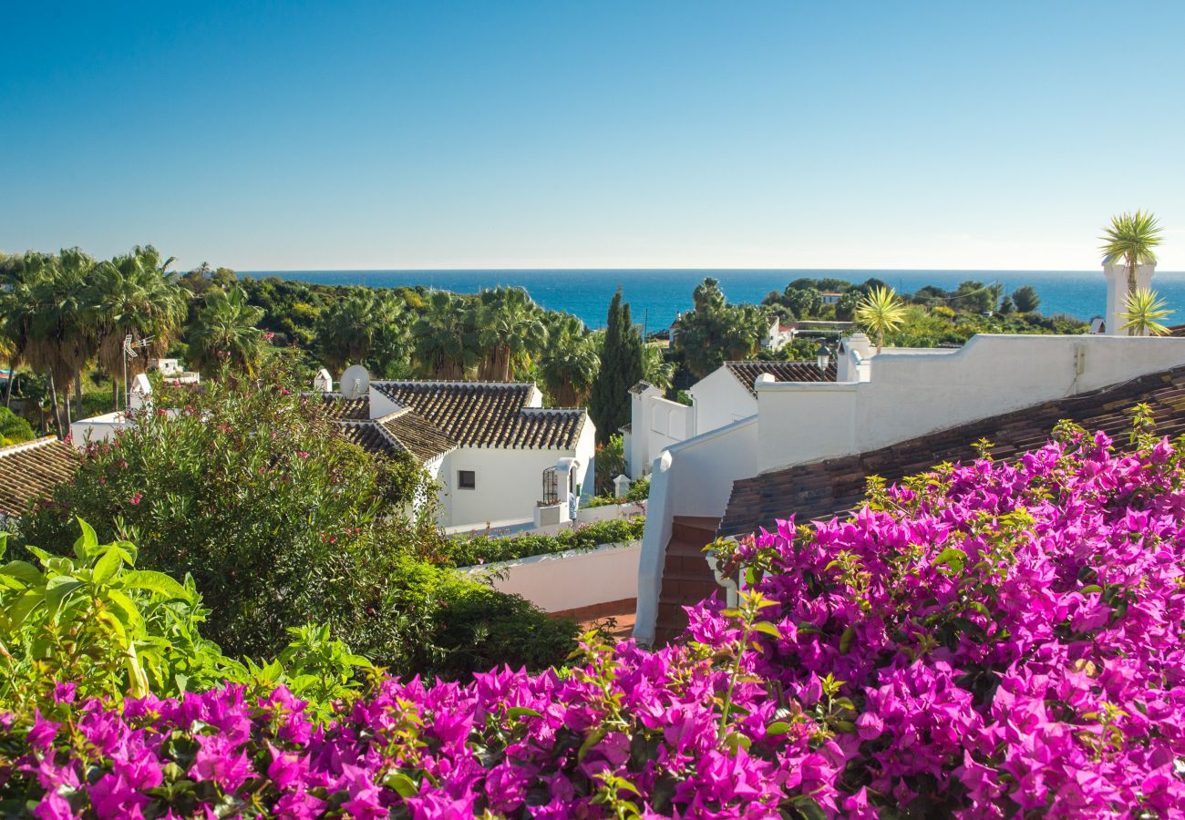 Apartment in Nerja - Tetuan 7 - Oasis Properties