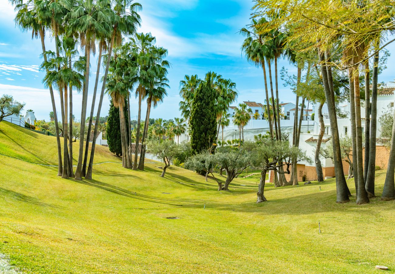 Apartment in Nerja - Tetuan 31 - Oasis Properties
